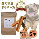 【楽天1位！】自然な製法にこだわった ヒマラヤ ヤクチーズ スティック　Mサイズ (約70g) 5本 ハードタイプ 犬用おやつ 犬の歯の健康 ペットフード ヒマチ― 犬用ガム ヤクミルク ドッグフード 無添加 高たんぱく グルテンフリー グレインフリー