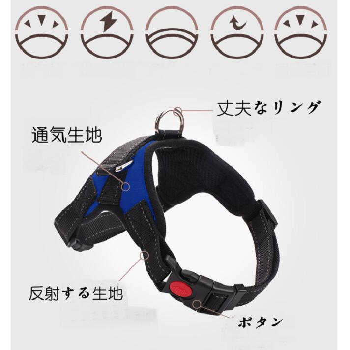 送料無料 ペット用リード ＋首輪セット　スリップリード　柔らかいハンド　暴走防...