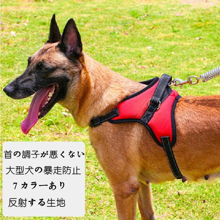 Collars, Harnesses, Leashes - 送料無料 ペット用リード ＋首輪セット　スリップリード　柔らかいハンド　暴走防止　小型犬 中型犬 大型犬 おしゃれ シンプル　犬用首輪 ペット 軽量 オシャレ かわいい 丈夫 、お散歩アイテム 引っ張り防止 躾 訓練 ロープ トレーニング　反射材