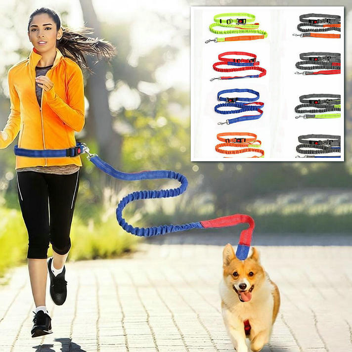 樂天商城 - 送料無料 ペット用リード スリップリード 暴走防止 犬 リード 小型犬 中型犬 大型犬 おしゃれ シンプル ペット 軽量 オシャレ かわいい 丈夫 、お散歩アイテム 引っ張り防止 躾 訓練 ロープ ランニングリード ハンズフリー 腰ベルト付き 伸縮性 頑丈 高強度材料