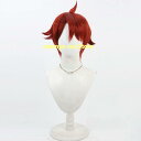 わんだふるぷりきゅあ 兎山悟 ウィッグ コスプレ かつら