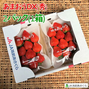 いちご【博多あまおう】DX(秀品)2パック(1箱)JA筑前あさくら