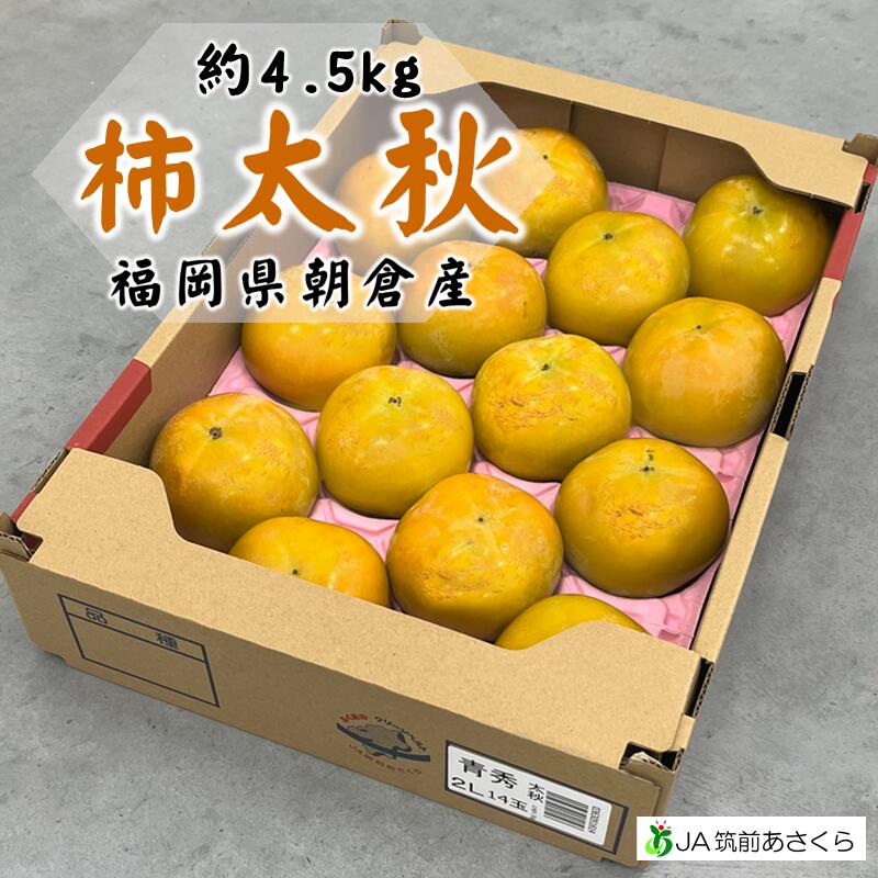 柿 太秋(たいしゅう)1箱12玉or14玉(約4.5kg)産地直送福岡県朝倉産