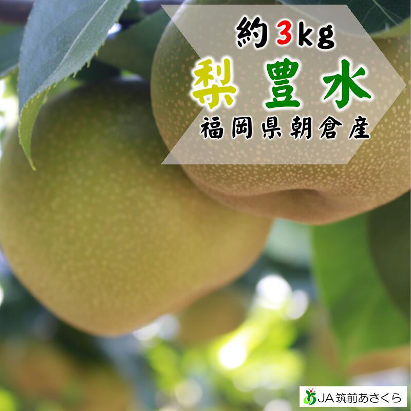 ◆梨(豊水約3kg)◆あさくらの梨産地直送！福岡県朝倉産約3kg(8～9玉入)フルーツギフトのサムネイル