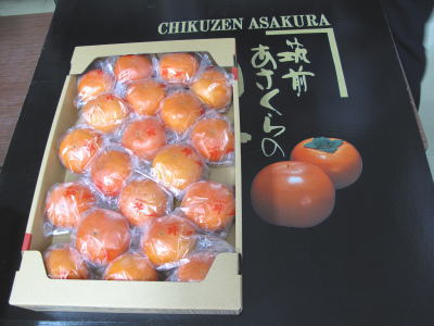 【あさくらの冷蔵富有柿】5kg箱（L・2Lサイズ・20.〜18玉入）