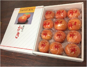 【福岡JA筑前あさくら産】冷蔵富有柿　化粧箱入約3.3kg（12玉入）