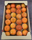 朝倉産富有柿【自家消費用】