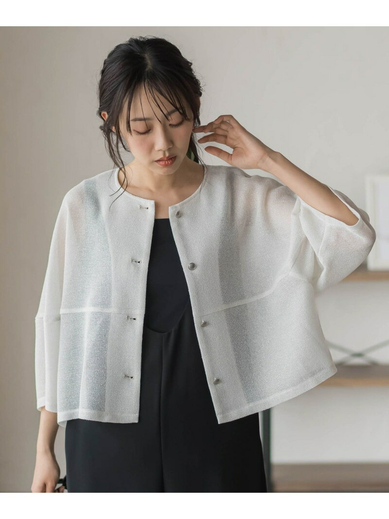 Rakuten - ラメッシュブラウス Droite lautreamont ドロワット・ロートレアモン トップス シャツ・ブラウス ベージュ ホワイト【送料無料】[Rakuten Fashion]
