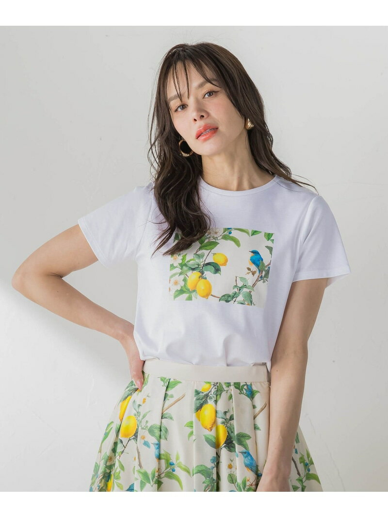 Rakuten - レモンプリントTシャツ Viaggio Blu ビアッジョブルー トップス カットソー・Tシャツ ネイビー ホワイト【送料無料】[Rakuten Fashion]