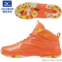 【2023年6月発売】 MIZUNO ミズノ ウエーブダイバース LG4 Ltd WAVE DIVERSE フィットネスシューズ 男女兼用 2E K1GF2375-35【23SS】