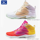MIZUNO ミズノ ウエーブダイバース LG4 Ltd WAVE DIVERSE フィットネスシューズ 男女兼用 限定カラー 2E K1GF2475-51 K...