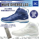 【あす楽対応】【送料無料】MIZUNO ミズノ ウエーブダイバース LG3 リミテッド WAVE DIVERSE LG3 Limited 限定カラー フィットネスシューズ 男女兼用 2E K1GF1975【19SS】