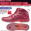 【予約】【2020年3月上旬発売】MIZUNO ミズノ ウエーブダイバース LG 3Ltd WAVE DIVERSE フィットネスシューズ 男女兼用 2E K1GF2075-62【20SS】