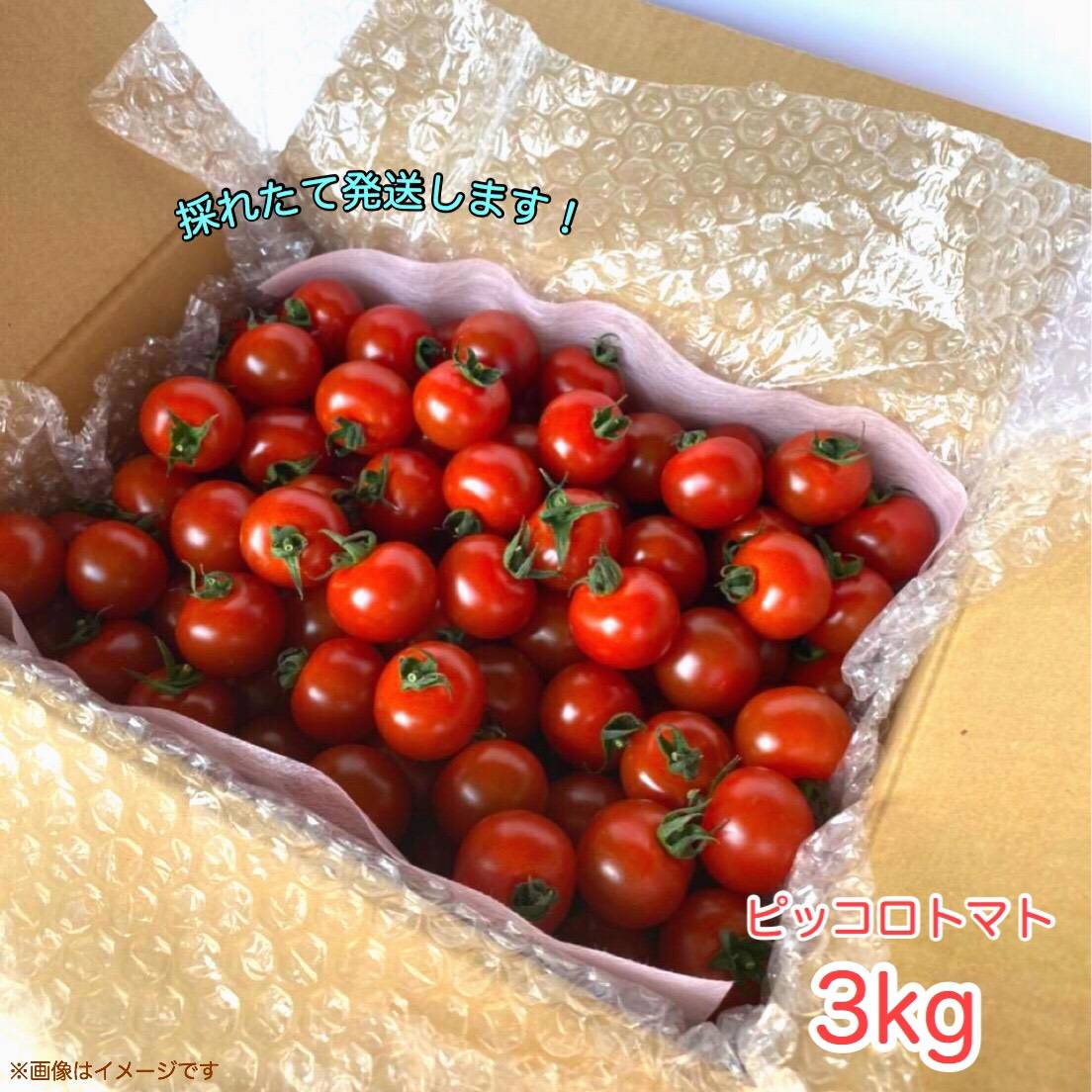 記事番号:33694/アイテムID:362080の画像