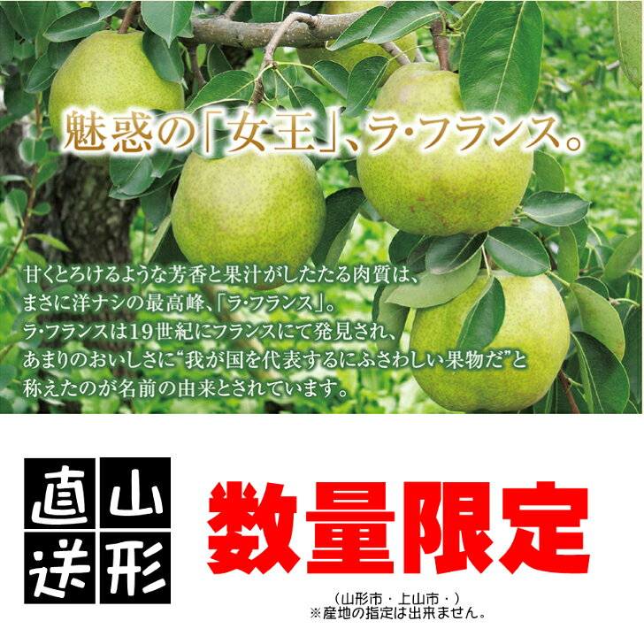 西洋梨 ラ・フランス 3kg 10～11玉 3L～2L 贈答 山形 上山 産地直送 果物 ギフト ...