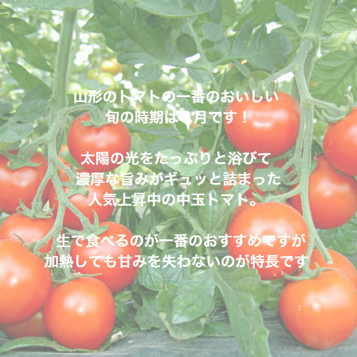 thum2