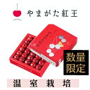 さくらんぼ やまがた紅王 温室栽培 300g 手詰 化粧箱 贈答 母の日 ギフト 山形 プレゼント ギフト 山形農業協同組合