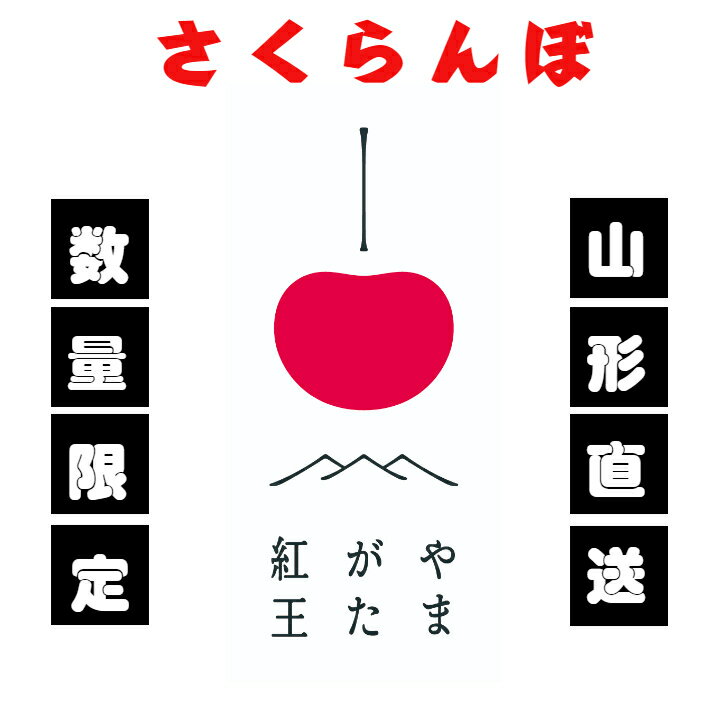 さくらんぼ やまがた紅王 300g 手詰 化粧箱 贈答 父の日 ギフト 山形 プレゼント ...