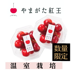 さくらんぼ やまがた紅王 温室栽培 100g×2ダイヤパック 贈答 母の日 ギフト 山形 プレゼント ギフト 山形農業協同組合