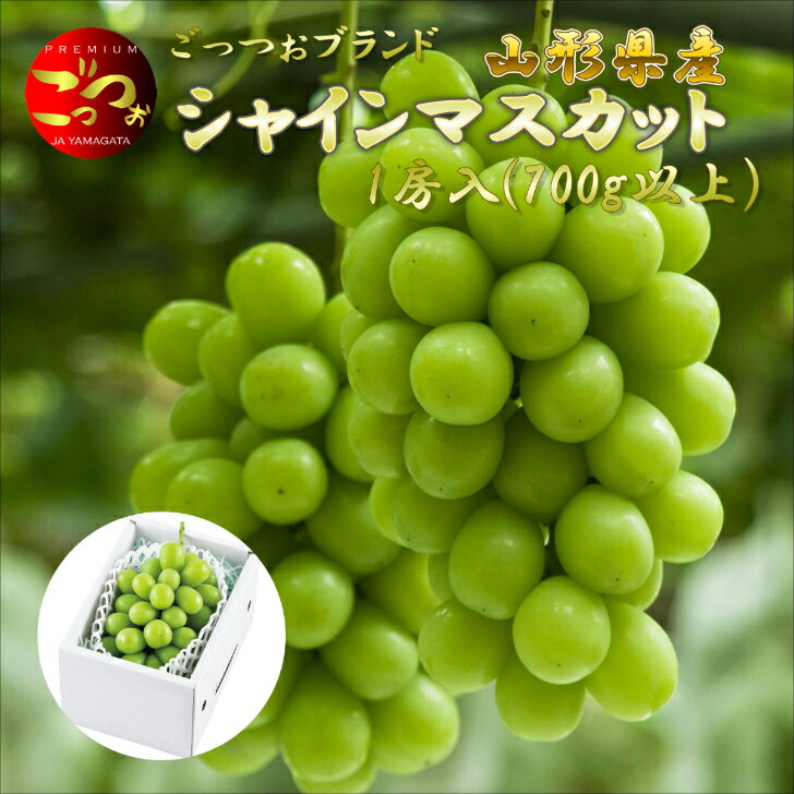 プレミアム ぶどう シャインンマスカット 700g以上 1房 ごっつぉ 贈答 山形 上山 産地直送 果物 ギフト 山形農業協同組合のサムネイル