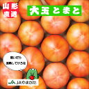 山形産大玉トマト4kg大玉トマト山形産地直送野菜新鮮ギフト山形農業協同組合