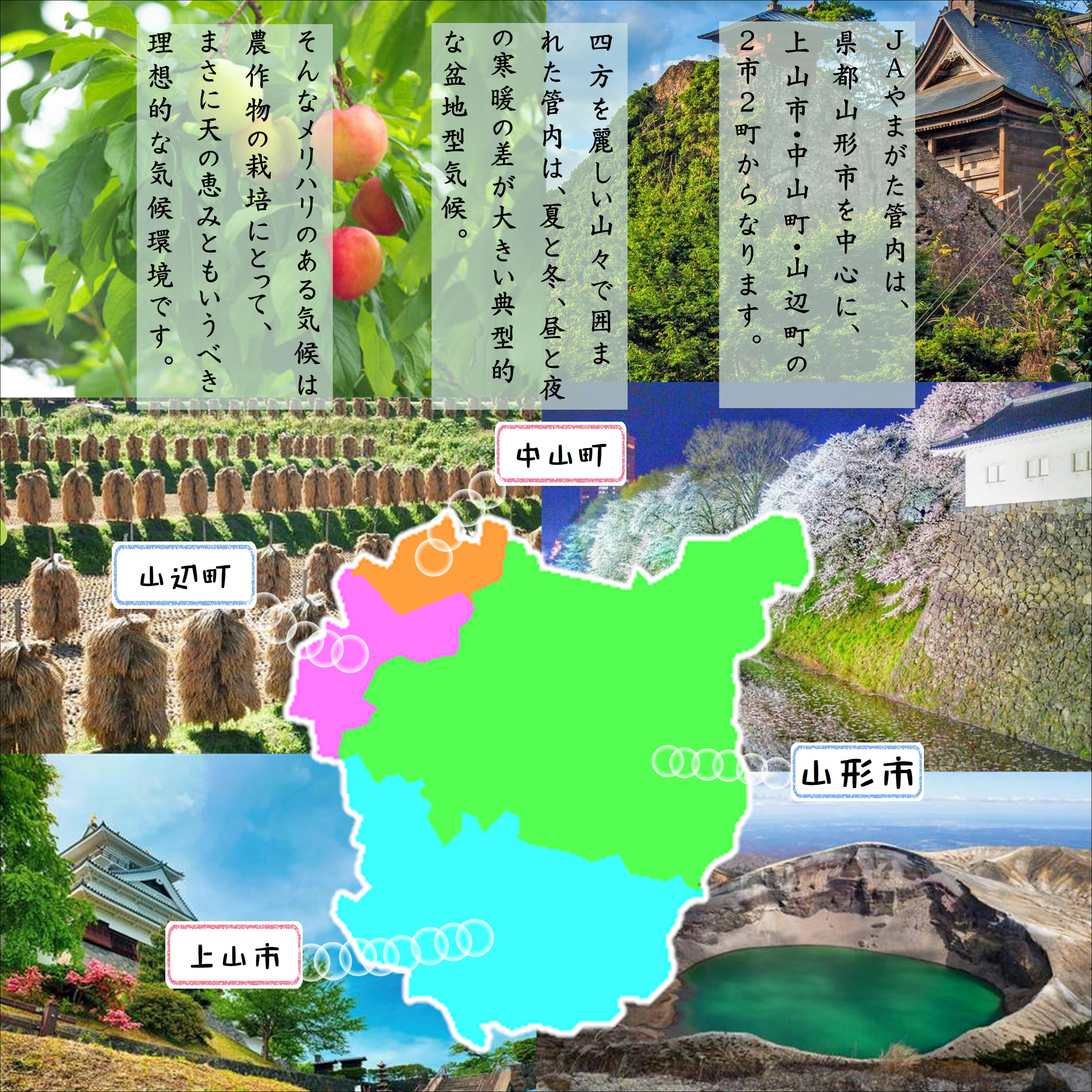 山形産大玉トマト4kg大玉トマト山形産地直送野菜新鮮ギフト山形農業協同組合 jayamagata-10000121 JAやまがた楽天市場店 サンプル画像3