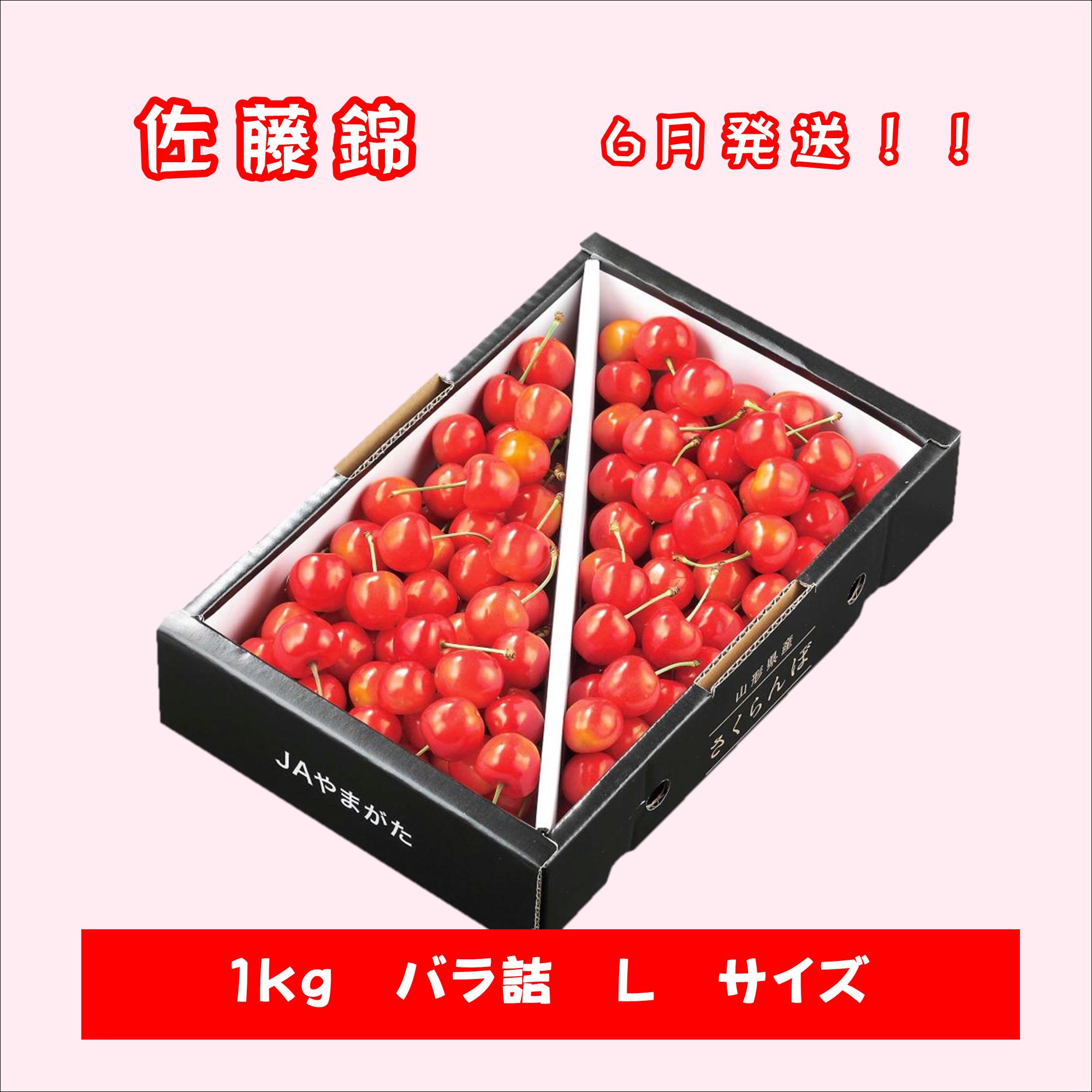 さくらんぼ 佐藤錦 1kg バラ詰め 贈答 山形 お中元 ギフト 山形農業協同組合 産地...