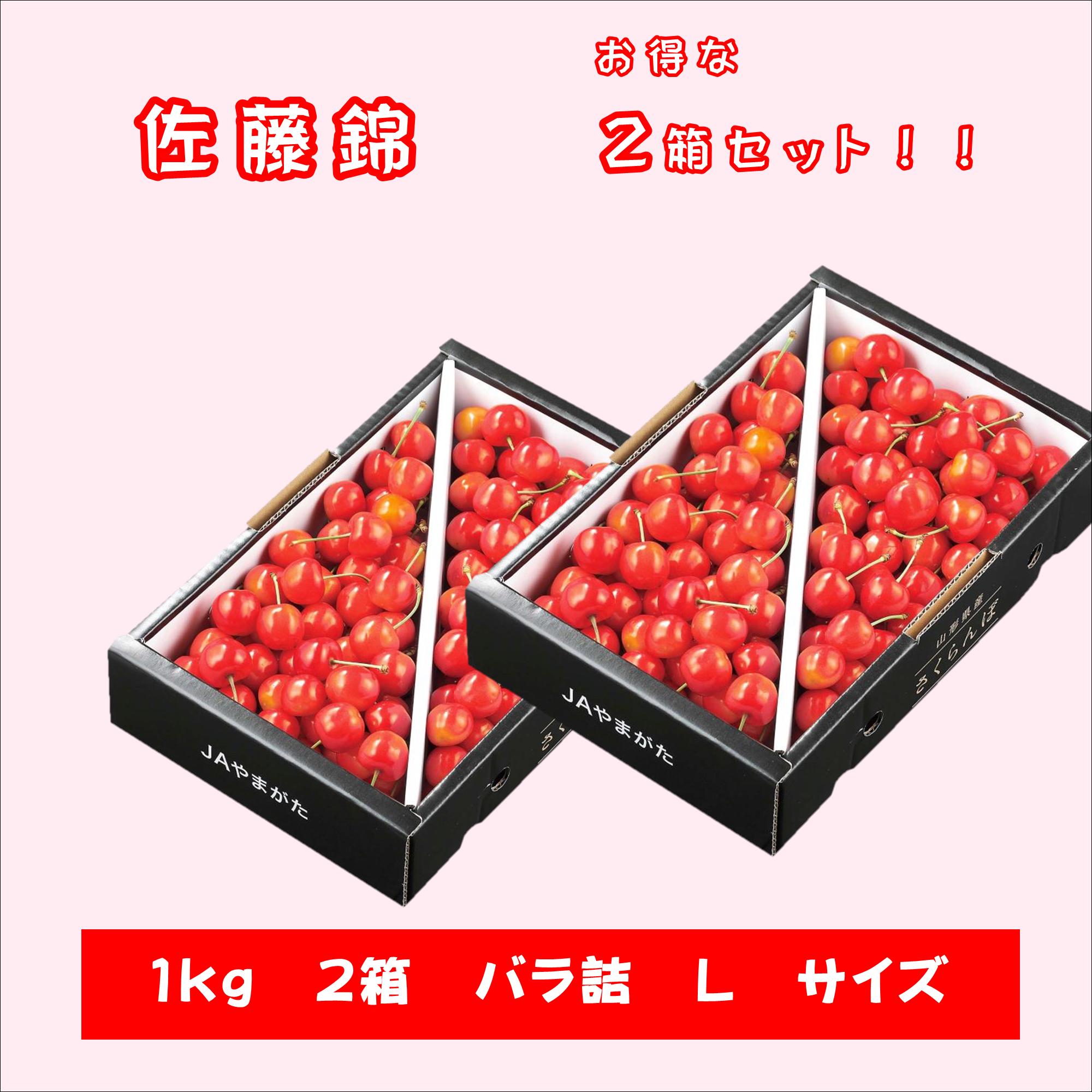 さくらんぼ 佐藤錦 1kg 2箱 バラ詰め 贈答 山形 お中元 ギフト 山形農業協同組合 ...