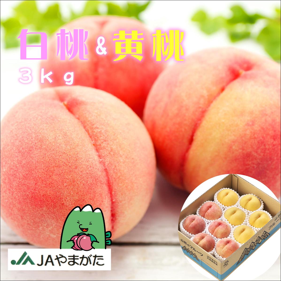 桃 詰合せ 3kg 9玉〜11玉 贈答 山形 産地直送 果物 ギフト 山形農業協同組合のサムネイル