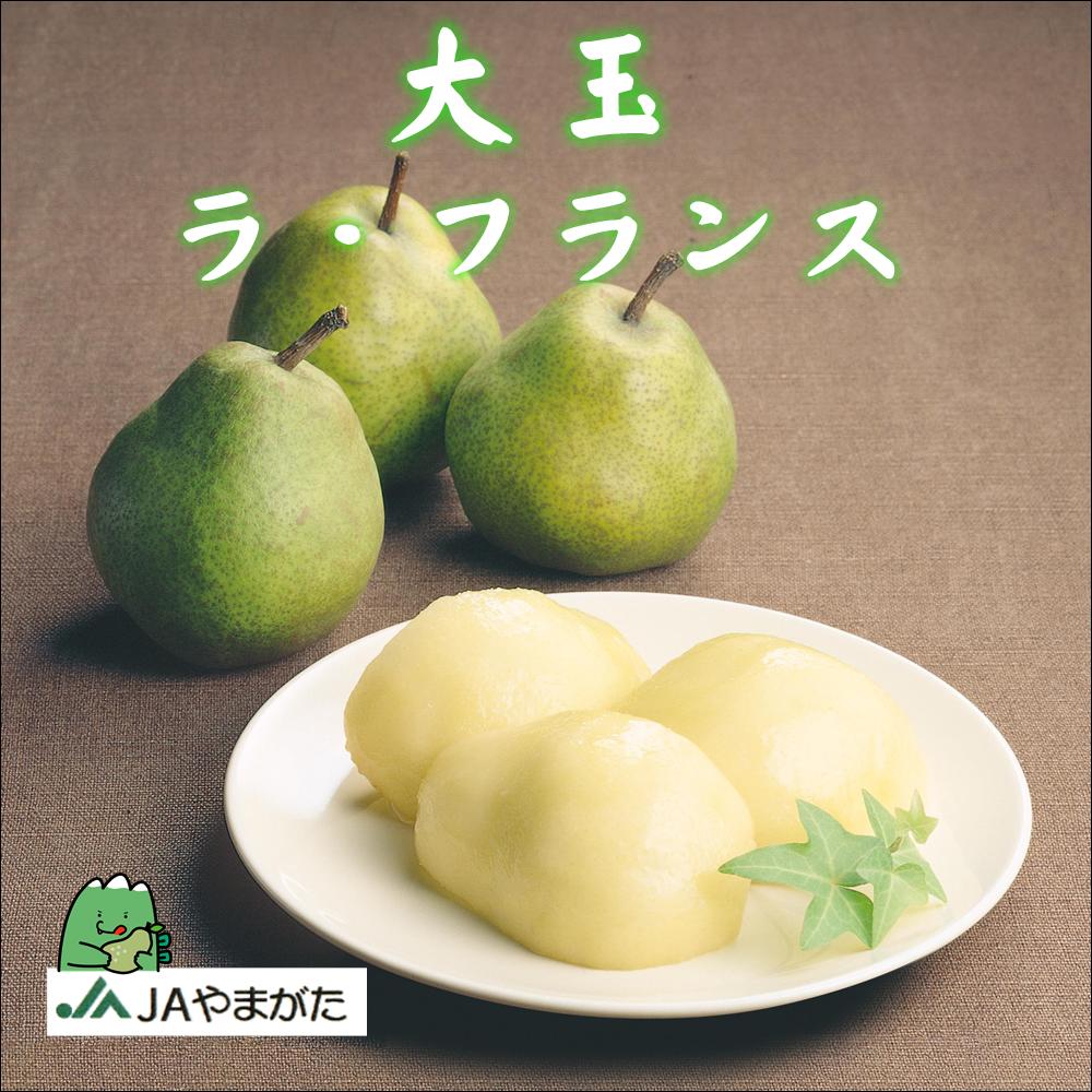 西洋梨 大玉 ラ・フランス 3kg 6～8玉 6L～5L 贈答 山形 上山 産地直送 果物 ギフト 山形農業協同組合のサムネイル