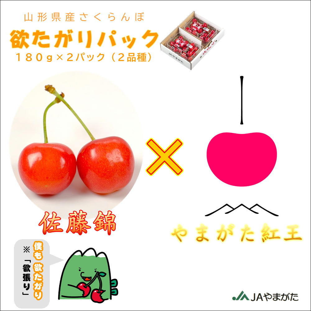 Rakuten - さくらんぼ 佐藤錦1P やまがた紅王1P フードパック 贈答 ギフト 山形 プレゼント ギフト 山形農業協同組合 産地直送 美味しい おいしい 山形 東北 初夏 プレゼント お礼 御礼 贈り物 挨拶 贅沢