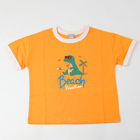 【3枚で送料無料】 半袖Tシャツ 恐竜 ダイナソー 男の子 キッズサイズ 子供服 ディ...