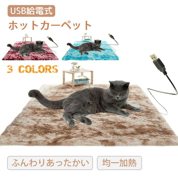 ۥåȥޥå ڥå ۥåȥڥå USB Ǯޥå ʥ ۥåȥڥå ŵ եͥ ڥåȥ٥å ڥåȥޥå ҡޥå ...