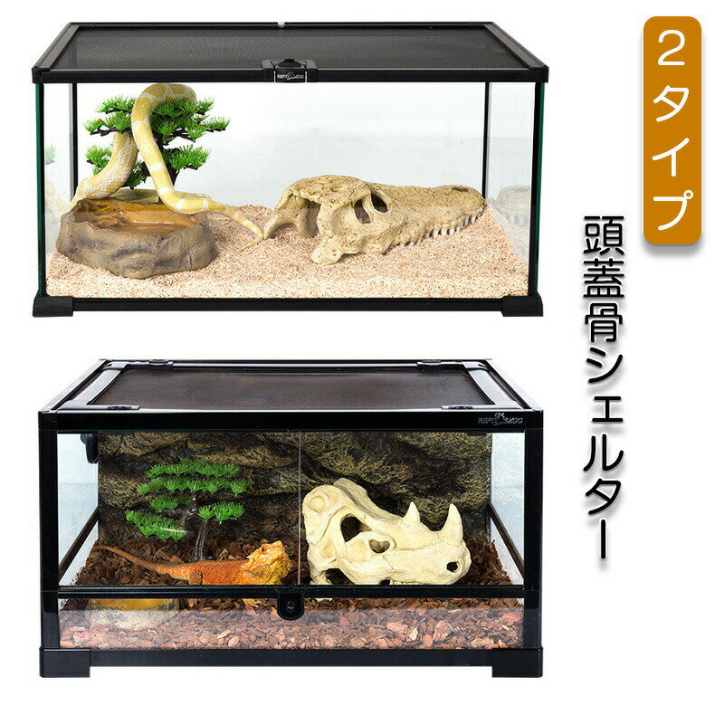 シェルター 頭蓋骨シェルター 隠れ家 バスキングスポット頭蓋骨 棲家 トカゲ 亀 両生類 魚 爬虫類 昆虫 虫 守宮 景観造り ストレス解消 シミュレーション 汎用