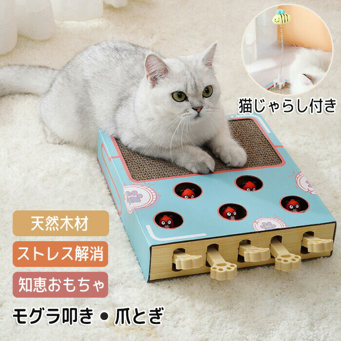 猫おもちゃ もぐら叩き ねこ 爪研ぎ 猫じゃらし 一人遊び 猫 玩具 猫遊び 猫用もぐら叩き 5穴 知育おも..