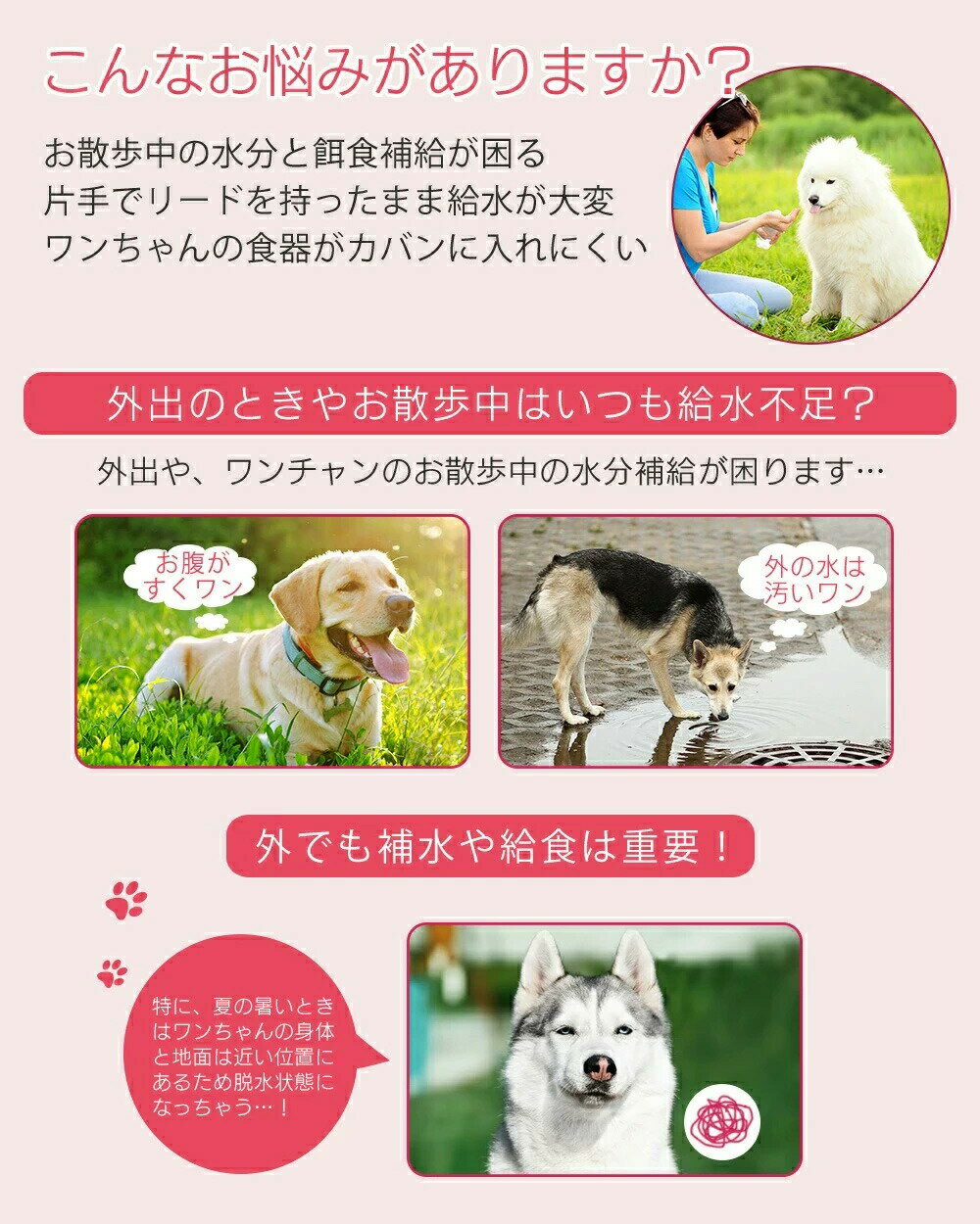 �ڥå��ѥ����������ܥȥ� �ڥå� ���� �� 2way ���� ���гݤ� �ɥ饤�� ϳ���ɻ� ���å���ǽ ���ܥȥ� �ڥåȥ����������ܥȥ� �ڥå��ѿ��� ����ĥ����� ��������� �ڥå��ѷ��ӿ��� �����������ܥȥ� ����ߴ� ��ʬ��� ������ ǭ���� ���ܥȥ� ���Ф����ܥȥ�