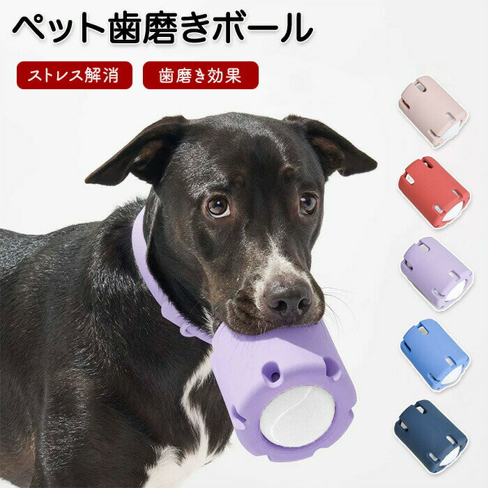 ペット歯磨きボール 犬 歯磨きボール ペット テニス タンブリング 犬 トレーニング ボールのおもちゃ ..