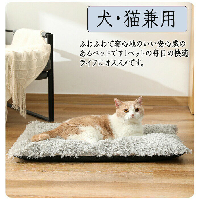 �ڥåȥ٥å� ǭ�٥å� ���٥å� �ڥåȥ��å���� �ڥåȥޥå� �դ�դ� �������٥å� ���� ������ ǭ������ �ڥåȥ٥å� ���С���곰����ǽ �����륷������Ȥ���٥å� ���ߤ� ���餫 Ĺ�ӥ��㥮�� ���� �ڥåȥ��ե��� �Ҹ� ������ �淿�� �緿�� �� ǭ ���� �ͤ�