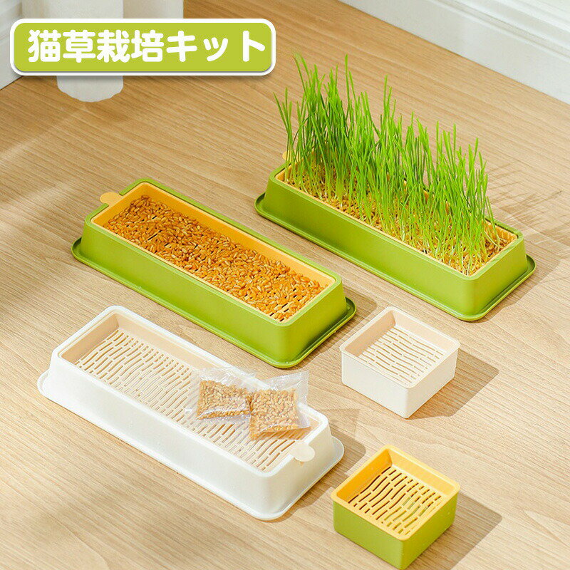 水栽培猫草 ボックス 猫草栽培キット 正方形・長方形 2個セット 猫草プランター 猫草栽培セット ネコ草 ねこ草 毛玉ケア 水植物 スプラウター 発芽コンテナー...
