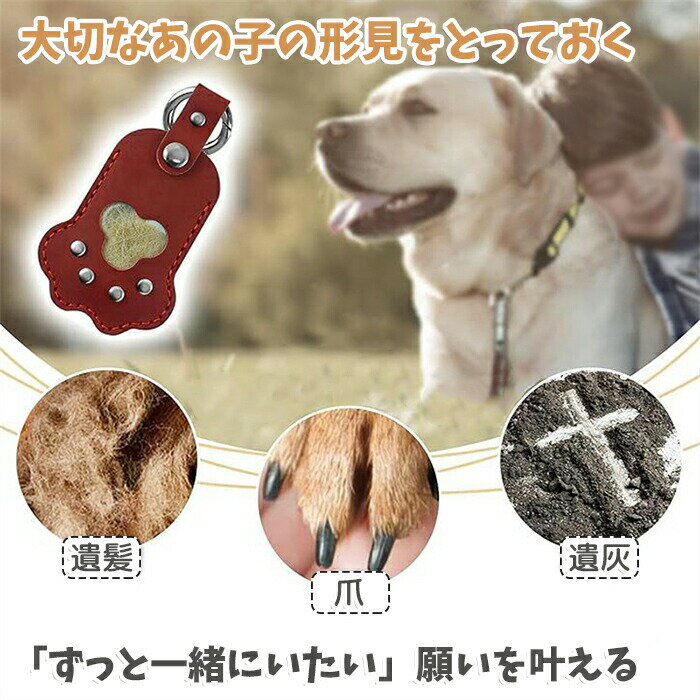 �������� �ڥå� ���� �ڥåȰ������ ���ӥ����� �����ۥ���� ������� ���� ʬ�� �䳥 ���� �� �� �Ҥ� ���� ���� �פ��� �긵 �긵���� �� ǭ �쥶�� ������� ���襤�� �ڥåȶ��� ������ ���ꥢ�륰�å� £��ʪ ��ǰ�� �ץ쥼���