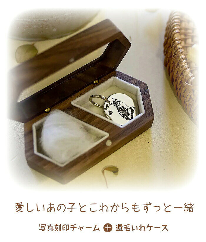 ���ӥ����� �ڥå� �������� ���ꥢ����㡼�� �̿���� �̿� �ڥå�ʩ�� �Ҥ������� ���ӥ��㡼�� ���� �ڥåȤ��� ��ȱ �Ҥ� ������ ���� ��� ������ ���������꡼ ��������ʥåȺ� ���� ���� ��ǭ �ڥåȶ��� ���ꥢ�� �פ��� ���ꥸ�ʥ� ������ £��ʪ ��ǰ��