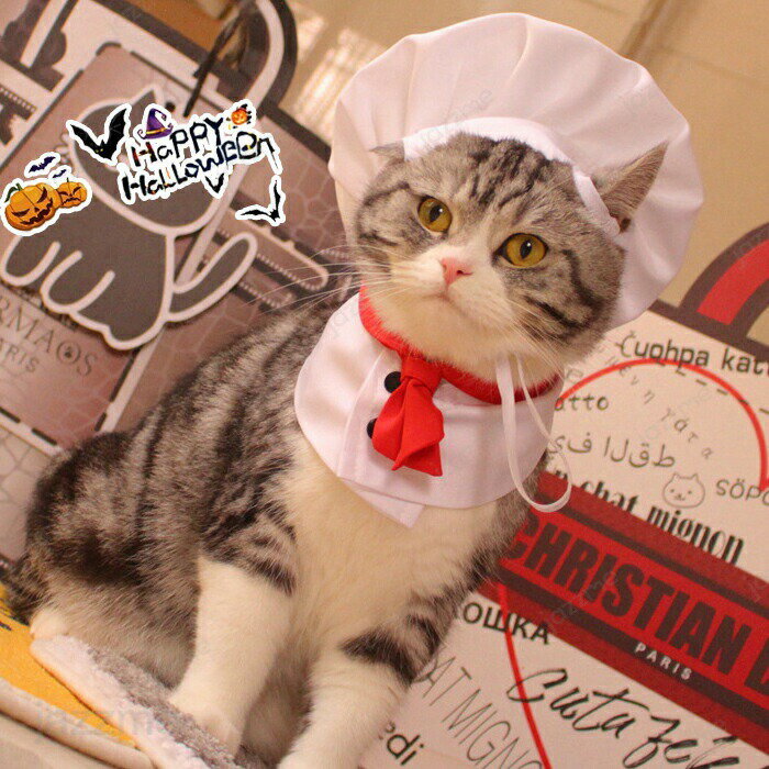 ハロウィン コスプレ衣装 ペット シェフ コスチューム 犬服 キャップ 仮装 面白い コスチューム 帽子 犬服 猫服 コスプレ ペットコスプレ 猫 小型犬用 変身グッズ ペット服 ハロウィン仮装 ペット 猫 犬変身 小型犬 猫服 撮影道具 着せやすい 可愛い オシャレ お出かけ 撮影