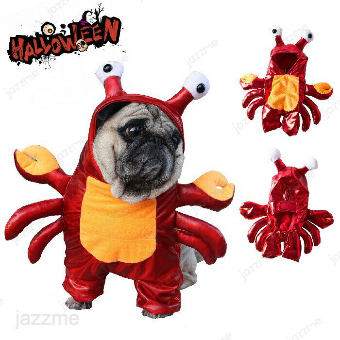 ハロウィン コスプレ衣装 ペット 二足歩行 カニ 仮装 面白い コスチューム カニの服 蟹 犬服 猫服 コスプレ ペットコスプレ 猫 小型犬用 変身グッズ ペット服 ハロウィン仮装 ペット 変身 小型犬 猫服 撮影道具 着せやすい 可愛い オシャレ ファッション お出かけ お散歩