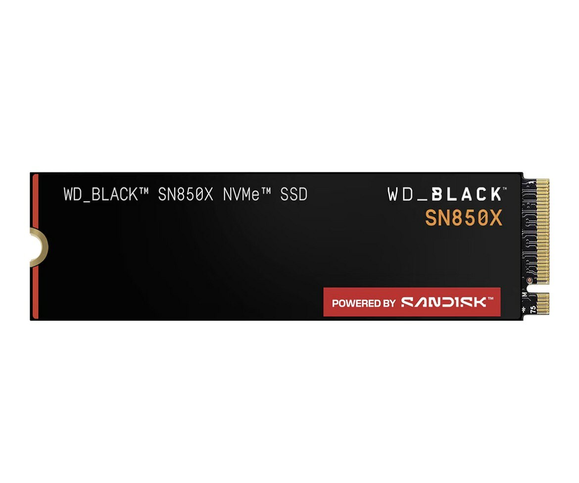 WD SSD WDS800T2X0E