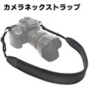 カメラ ネック ストラップ 一眼レフ ミラーレス コンパクト カメラ用 クッション性 ネオプレーン 素材 で肩への負担を軽減 シンプル ブラック for Canon Sony nikon 各社 カメラ デジカメ 双眼鏡(2)