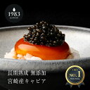 【NY便ファーストクラス採用】宮崎キャビア1983 (12g) | 贈答用化粧箱入り 芸能人格付