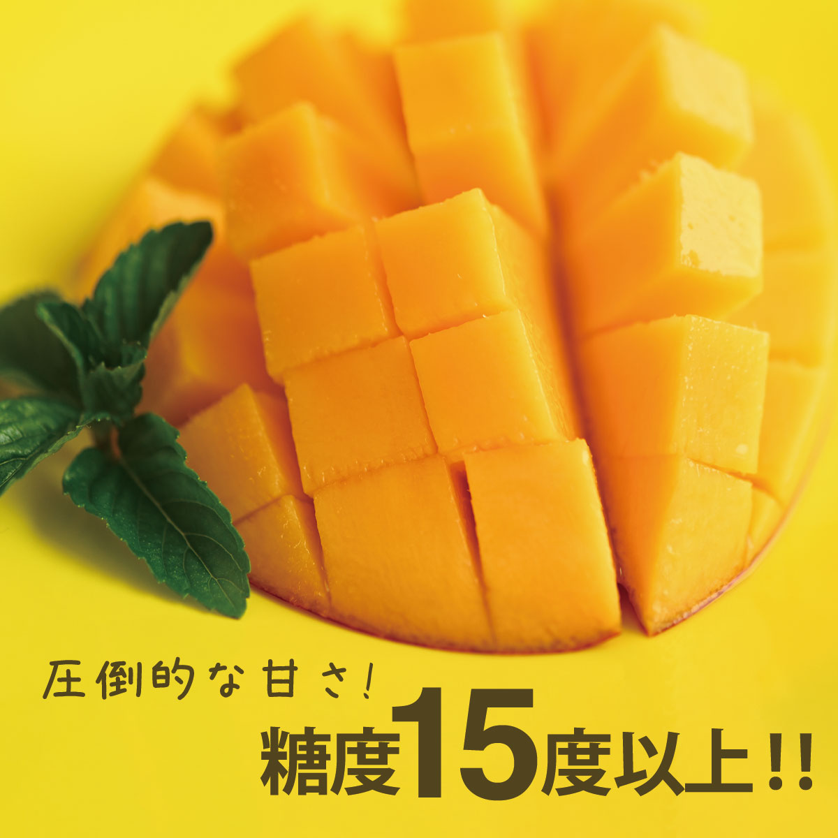 【4/15以降出荷】宮崎完熟マンゴー "太陽のタマゴ" 青秀以上 4L 2玉 | マンゴー 贈答品化粧箱入り 太陽のたまご 贈答 贈り物 高級食材 果物 くだもの フルーツ パーティー 記念日 誕生日 御歳暮 お取り寄せグルメ 食品 食べ物 贈答品