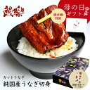 全国お取り寄せグルメ食品ランキング[ウナギ(1～30位)]第28位