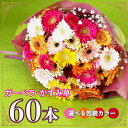 ガーベラ 花束 60本【仙台ローズガーデン】ブーケ 花束 卒業 プレゼント ギフト 母の日 ガーベラ 花束 敬老の日 カスミソウ