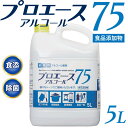 高濃度75% 5L プロエース【食品添加物規格】アルコール消毒 除菌剤 業務用 除菌 消毒 エタノール 75% 5L 消毒液